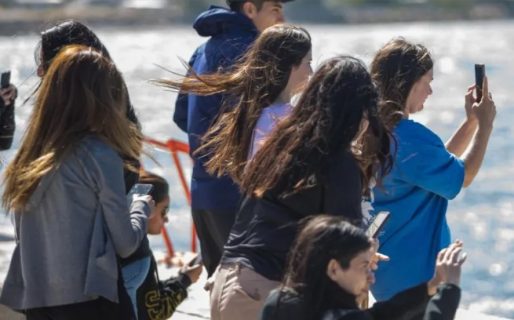 Comodoro ofrece múltiples propuestas culturales para disfrutar el fin de semana