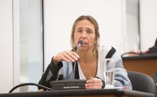Ferreira impulsa ordenanza para declarar de utilidad pública tierras de YPF en Km. 3 y evitar ventas privadas