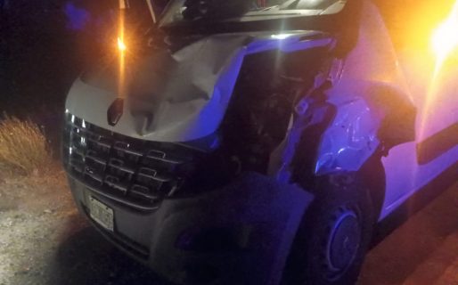 Minibús colisiona con un potrillo que falleció en el lugar