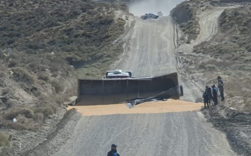 Volcó un camión en el Camino Petrolero