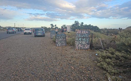 Sin trabajo hace un año y medio, salió a vender a la calle: «Hay que pelearla»