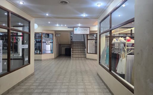 «La situación está complicada»: comerciantes del Paseo del Sur en alerta por cierres y baja actividad