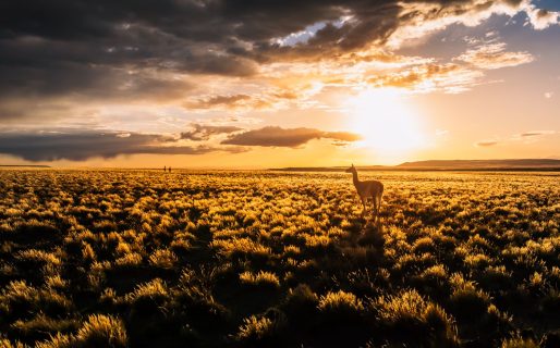 Un fotógrafo comodorense que trabajó con National Geographic dará un taller de fotografía en el Parque Patagonia