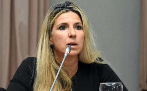 Caminoa contra Pagliaroni: «Se cortó solo para manejar la ambulancia de los heridos del Radicalismo»