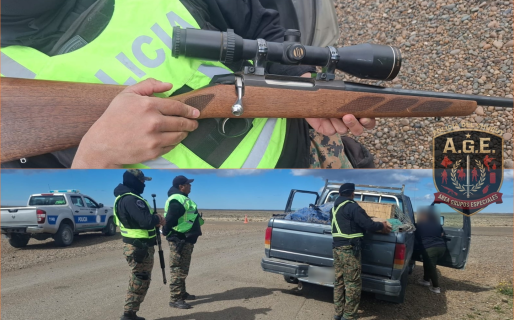 Le secuestraron un arma y tres guanacos despostados