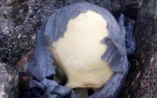 Encontraron un cráneo humano en una playa de Chubut