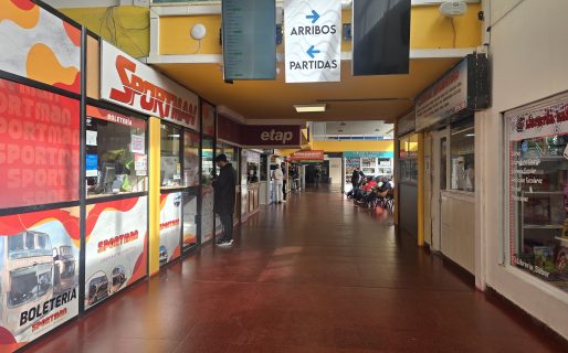 Desde la Terminal reconocieron que el movimiento por el fin de semana largo “fue bajo”
