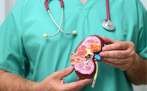 Día Mundial del Riñón: Habrá una jornada de concientización en el Hospital Regional