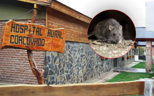 Confirmaron un caso de Hantavirus en Corcovado y hay 16 contactos estrechos aislados