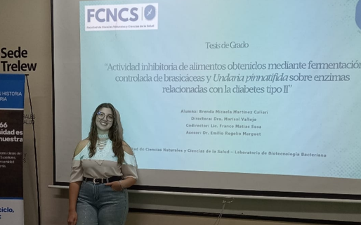 Una investigadora chubutense desarrolló alimentos funcionales para el control de la diabetes tipo II