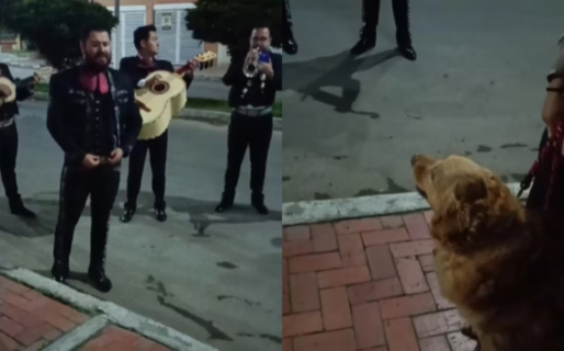 Una familia se despide de su perrita con mariachis: el video que conmueve a millones