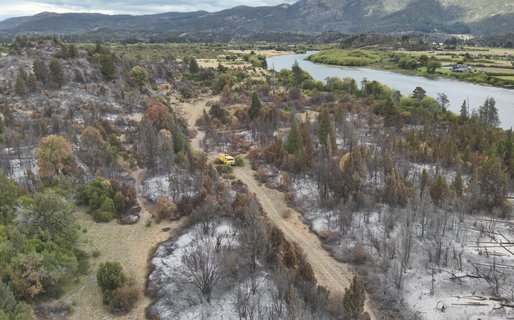 Continúa el monitoreo de puntos calientes en el Parque Nacional Los Alerces