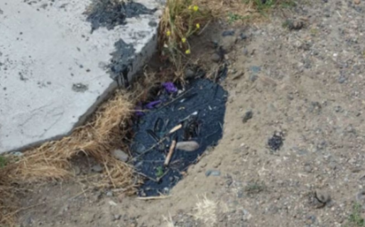 Un hombre cavaba un pozo en el patio de su casa en km 5 y encontró petróleo