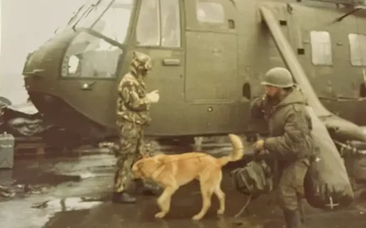 La historia de Mortero, el perro callejero que viajó a Malvinas, fue prisionero de guerra y volvió junto a los soldados