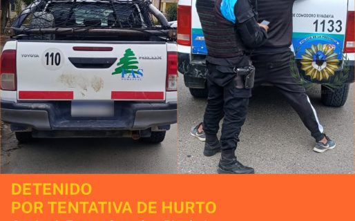 Detuvieron a un hombre por robar un matafuego de una empresa en zona sur