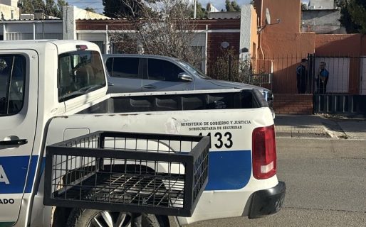 Robo en zona sur: delincuentes se llevaron televisores y una consola de videojuegos