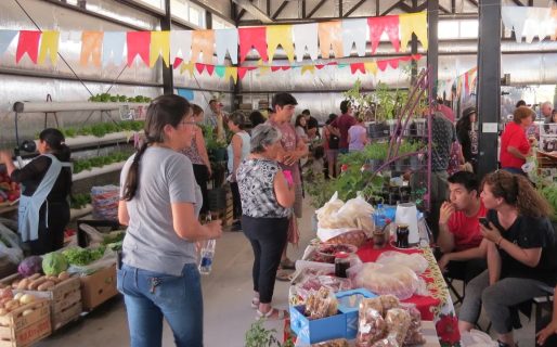 La Feria de la Estepa se reprograma para el domingo
