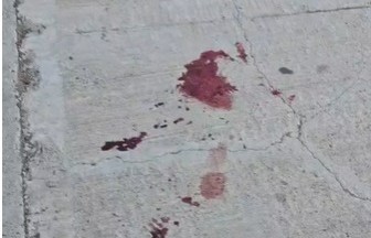 <strong>Identificaron a la joven que acompañaba a Rodrigo Nieves en el ataque a tiros</strong>