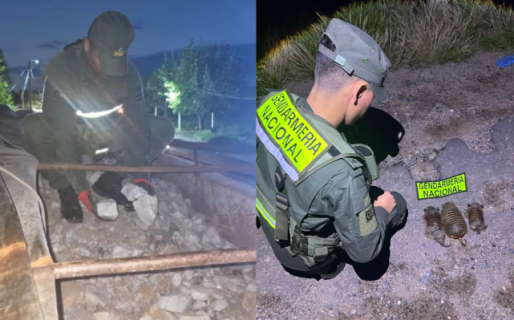 Descubrieron un camión con cuarzo ilegal y motos con quirquinchos faenados en un control de Gendarmería