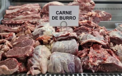 <strong>Venta de carne de burro en la Argentina: qué dice la ley, cuánto cuesta y por qué podría expandirse</strong>