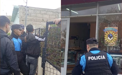 Detuvieron a un hombre tras agredir a una empleada y robar mercadería en un comercio