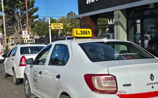 Taxistas piden declarar la emergencia del sector y solicitan exención de impuestos por la crisis