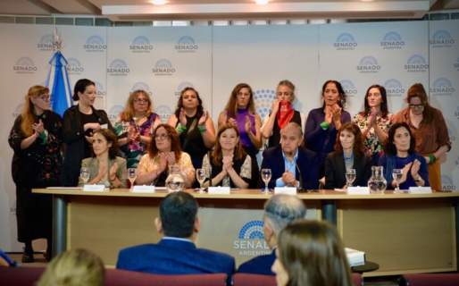 Linares valoró el debate en el Senado sobre un proyecto penal: «Enriquecedora jornada hemos tenido»