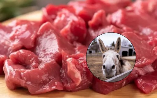 Trelew será sede de la primera degustación gratuita de carne de burro abierta al público