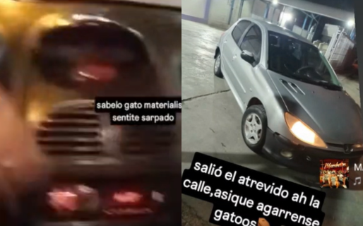 «Sin pedirle nada a nadie»: Las ultimas imágenes que compartió Rodrigo Nieves antes de ser ultimado a tiros