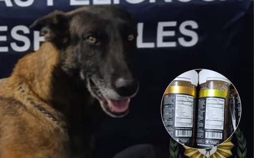 Tusy frustró el envió de 118 gomitas de marihuana