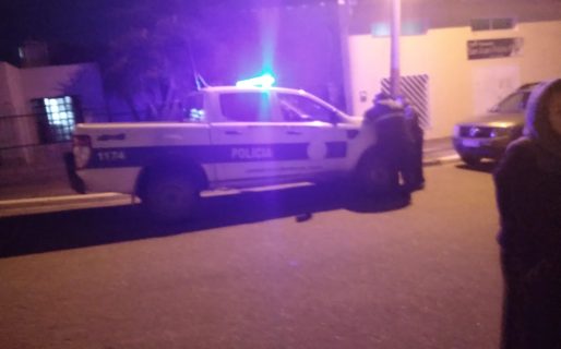 «La gente ha tomado más conciencia»: el rol del video difundido por un vecino en el rescate de animales maltratados