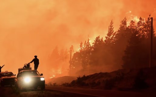 <strong>Los incendios en la Patagonia durante el verano fueron los más graves de la región en 60 años</strong>