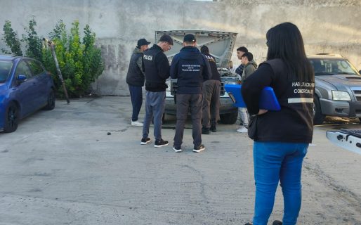 <strong>Operativo en concesionarias dejó al descubierto múltiples faltas y un insólito error judicial</strong>