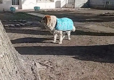 Angie espera una familia que le cambie la vida