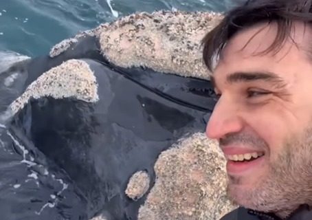 “No es IA, es Chubut”: la ballena que sorprendió en un evento de pesca en Puerto Madryn
