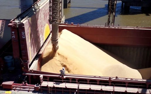 Golpe histórico: Brasil desplazó a la Argentina como líder mundial en exportación de harina de soja