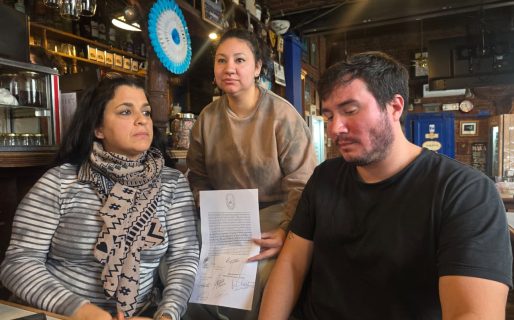 Escándalo y denuncia en Veterinaria: Liberaron 25 gatos sin vacunar ni desparasitar