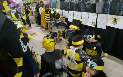 Se viene la tercera edición de la Expo Día Mundial de las Abejas en Comodoro
