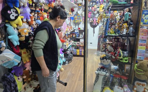 Robo en dos galerías céntricas: “Necesitamos seguridad y que la Policía encuentre a los responsables de los destrozos”
