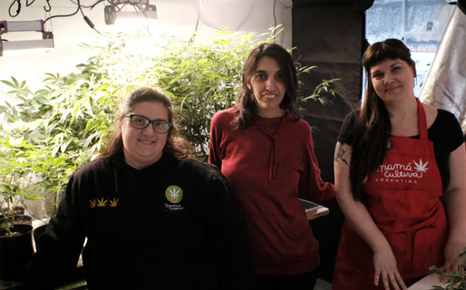 Comodoro será sede de una conferencia sobre cannabis como motor de nuevos derechos