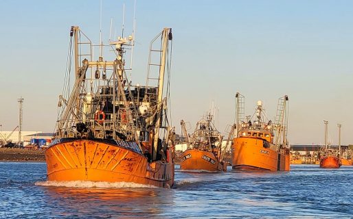 La Pesca en pie de guerra: Tres gremios inician paro de 72 horas y exigen paritarias urgentes