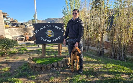 Sangre azul y olfato implacable: Cómo rastreó D’artagnan a los prófugos Durán en los cerros