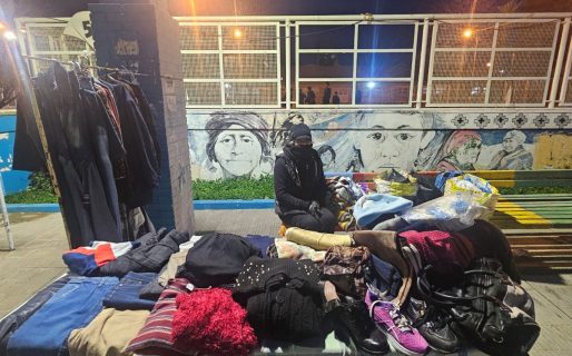 Sweaters, gorros y suculentas: la lucha diaria de una feriante de la Plaza de la Escuela 83