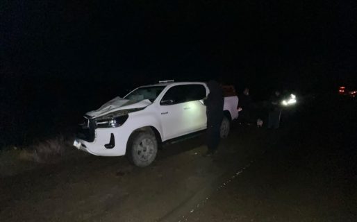 Accidente en la Ruta 26: Una camioneta chocó contra un caballo a la altura del Kilómetro 4