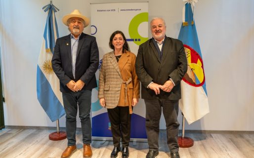 Othar impulsa lazos de cooperación bilateral entre Comodoro y Georgia