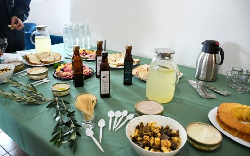 La temporada 2026 de extracción de aceite de oliva culminó con excelentes resultados