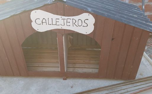 Un vecino de Comodoro construyó un refugio doble para perros callejeros