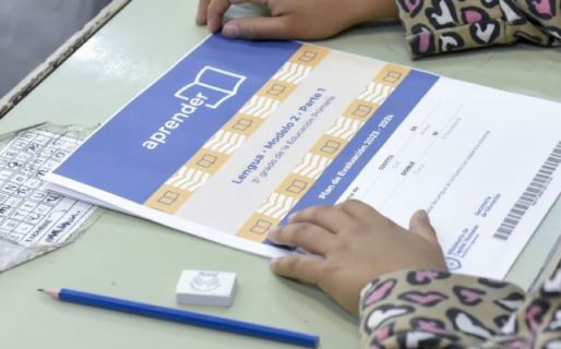 Pruebas Aprender: el 70% de los alumnos de sexto grado alcanzó el nivel de lectura esperable para su edad