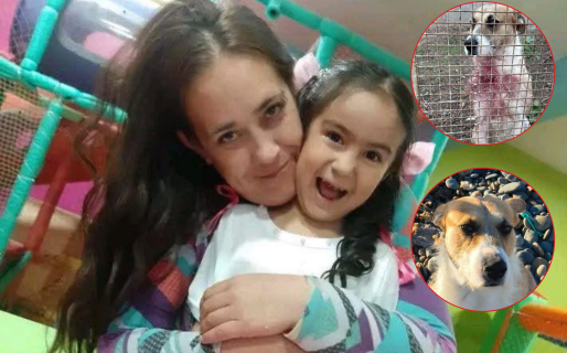Muerte de la niña atacada por un animal: cuestionan que el perro retenido haya sido el asesino