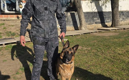 De las canchas a «hacer vida de perro»: La historia de Tina, la canina que pasó a retiro y fue adoptada por la familia de su guía